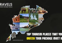 Orissa Tourism Packages