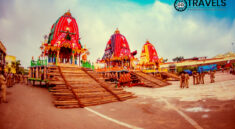 Puri Trip Package ratha yatra festival