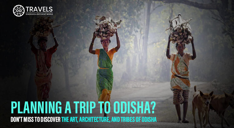 Odisha tribal tour