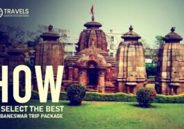 Bhubaneswar Trip Package