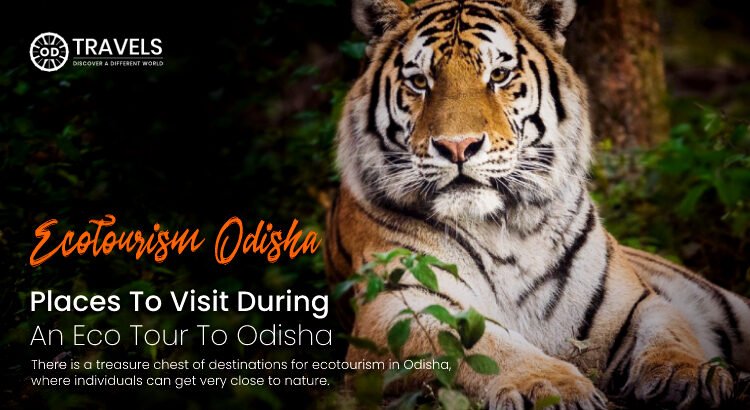 Ecotourism Odisha