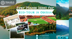 Eco Tour Odisha