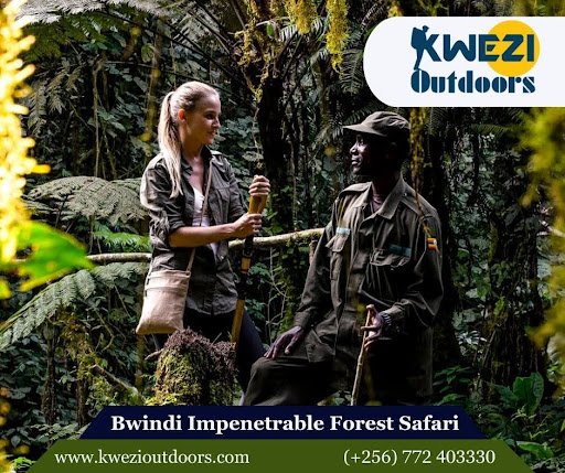 Bwindi Impenetrable National Park