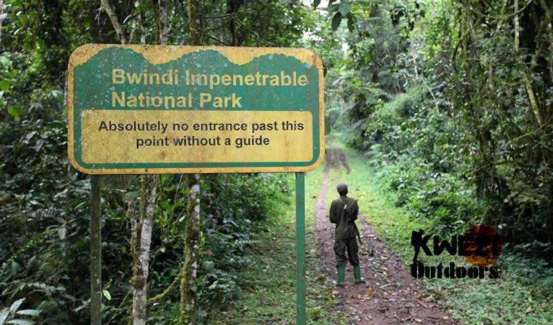 Bwindi Impenetrable National Park