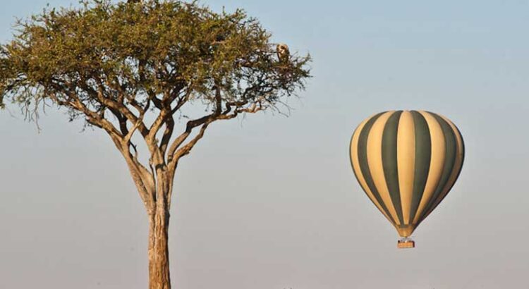 Hot Air Balloon Masai Mara