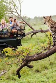 African safari tour
