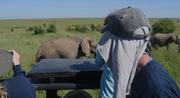 Safari Game Drive in Masai Mara