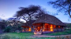 Budget Kenya Safari