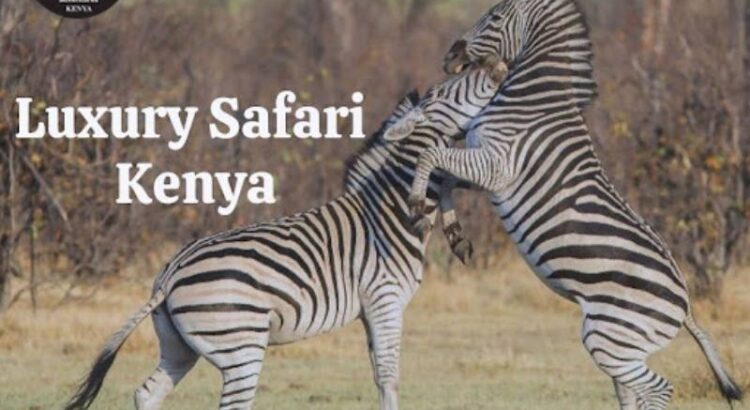 Kenya Luxury Safari