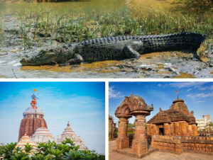 Odisha Tour