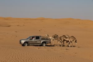Oman Tourist Places