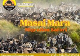 Masai Mara Migration
