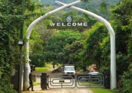 Udzungwa Mountains National Park