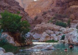 Oman Tours
