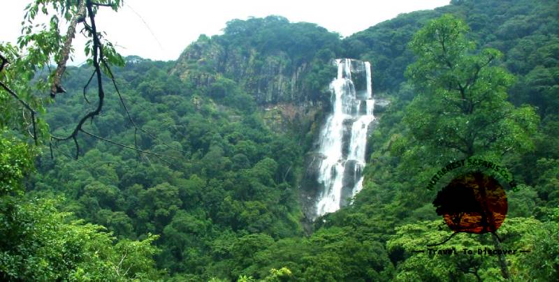 Pristine Forests of Udzungwa
