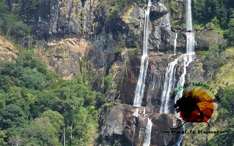 Udzungwa Mountains National Park Tours