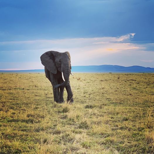 National Game Reserves in Kenya