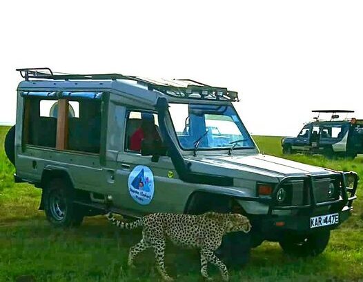 National Game Reserves in Kenya