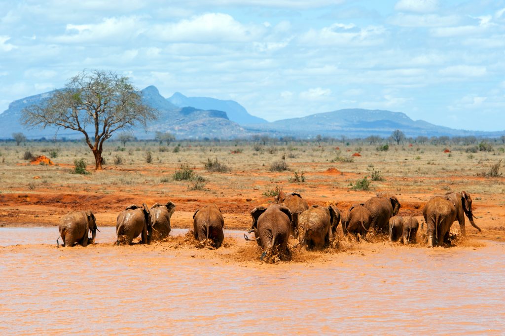 Game Reserves in Kenya