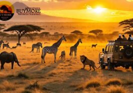 Luxury Safari in Kenya