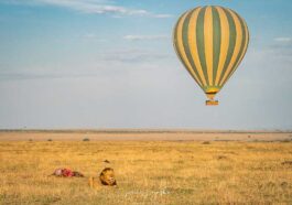 Hot Air Balloon Masai Mara