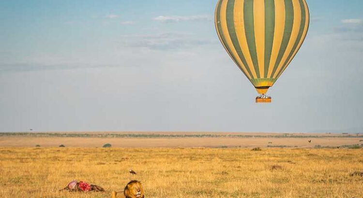 Hot Air Balloon Masai Mara