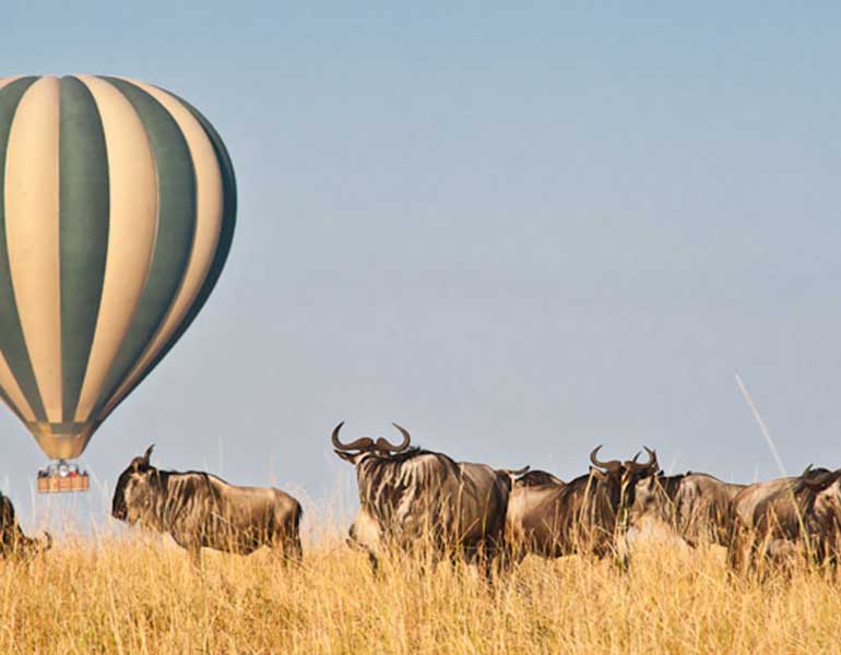 Hot Air Balloon Masai Mara