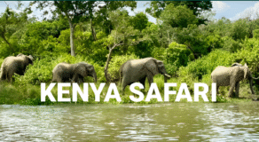 kenya safari