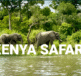 kenya safari