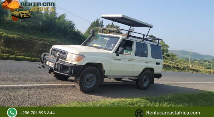 safari