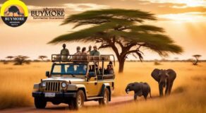 Budget Kenya Safari
