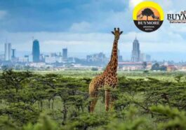 Nairobi Day Tour Excursions