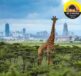 Nairobi Day Tour Excursions