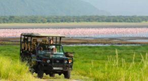 Tanzania Safaris