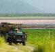 Tanzania Safaris