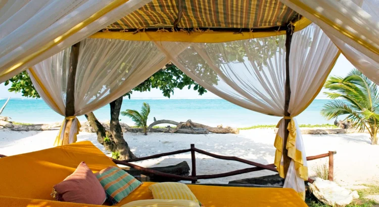 East Africa Safari & Coast