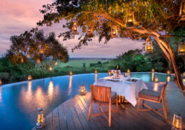 Kenya Budget Safari Tours