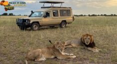 Self Drive Car Rental Tanzania