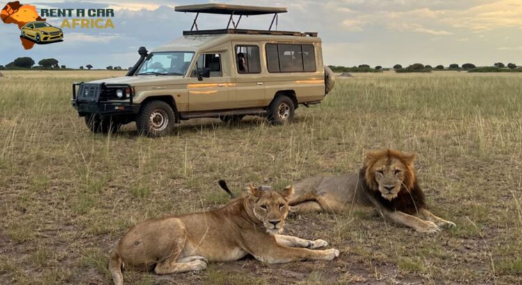 Self Drive Car Rental Tanzania