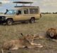 Self Drive Car Rental Tanzania