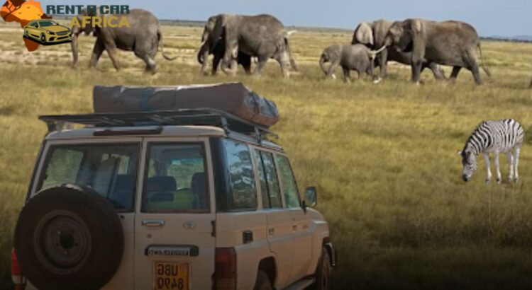 4x4 safari vehicle