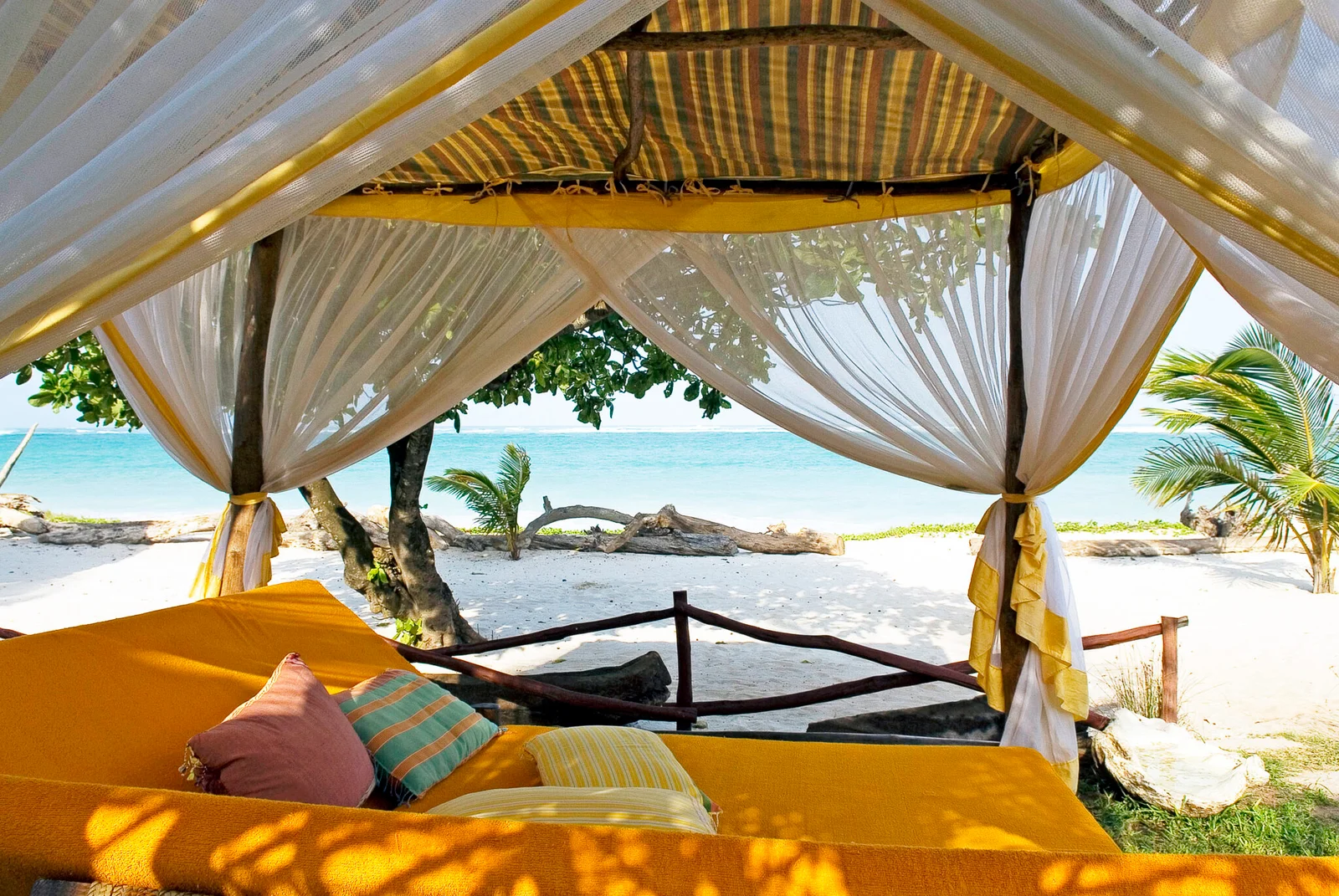 Africa Wildlife Safaris