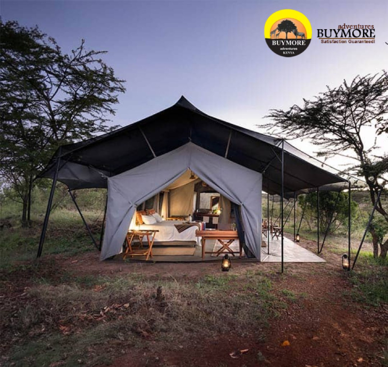 Kenya Budget Tours Family Adventures