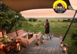 Nairobi Excursions