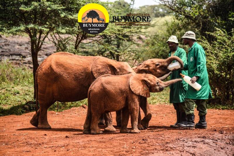 Nairobi Tours