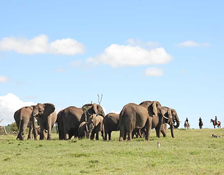 Kenya Vacation